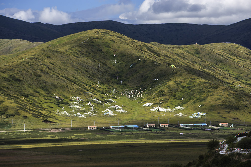 西部大草原旅游攻略,四川红原大草原自驾旅游攻略