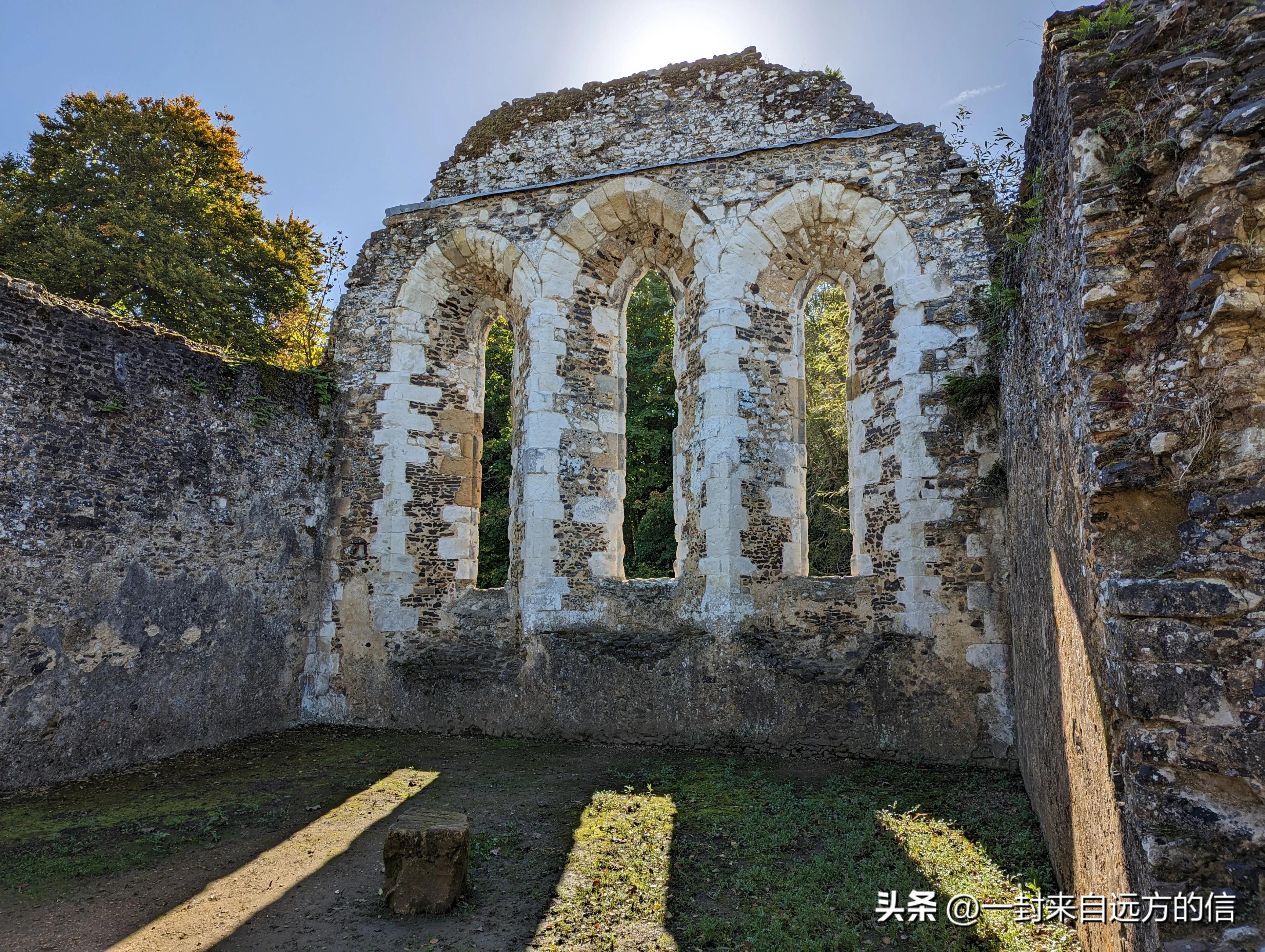 谷歌pixel7a对比三星s23,谷歌pixel7pro