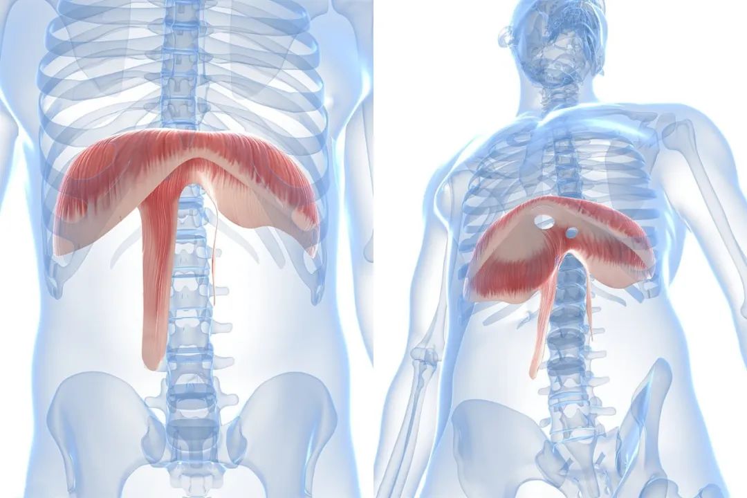 打嗝不停怎么办?这几招最灵