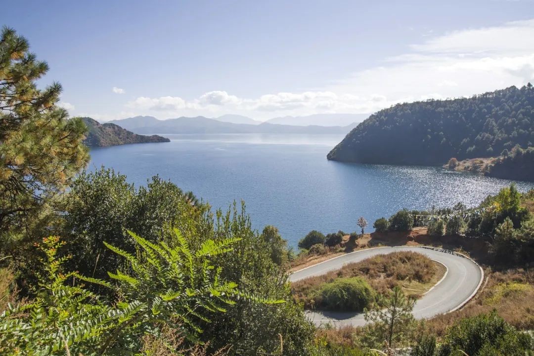 疫情之下的民宿,在丽江住一个月的客栈