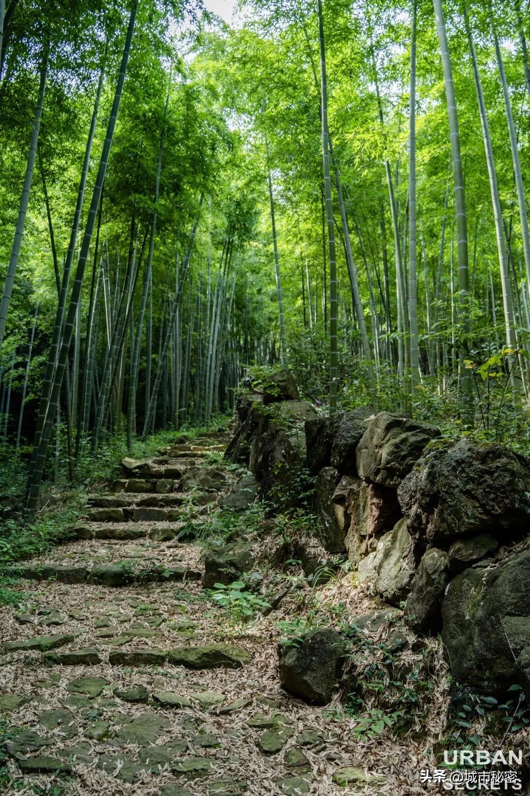 这个被赵露思带火的杭州小乡镇究竟有什么魅力？引来无数网友打卡