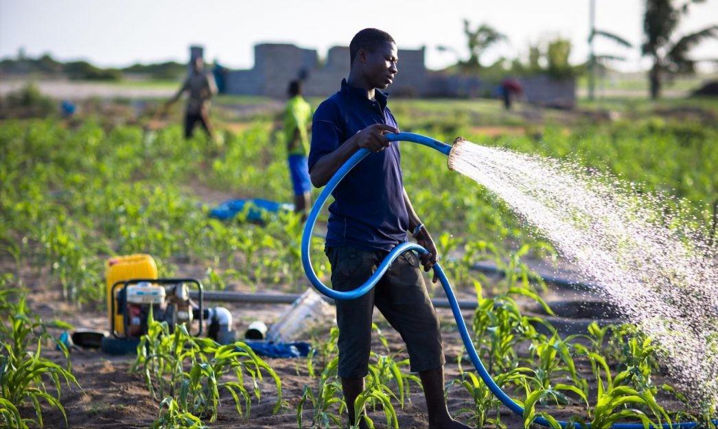 美国对华粮食援助,如果美国不出口粮食给中国会怎样
