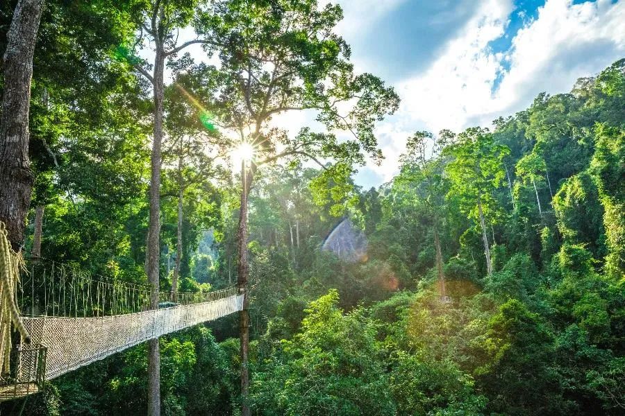 昆明七彩云南怎么样,七彩云南避暑家园