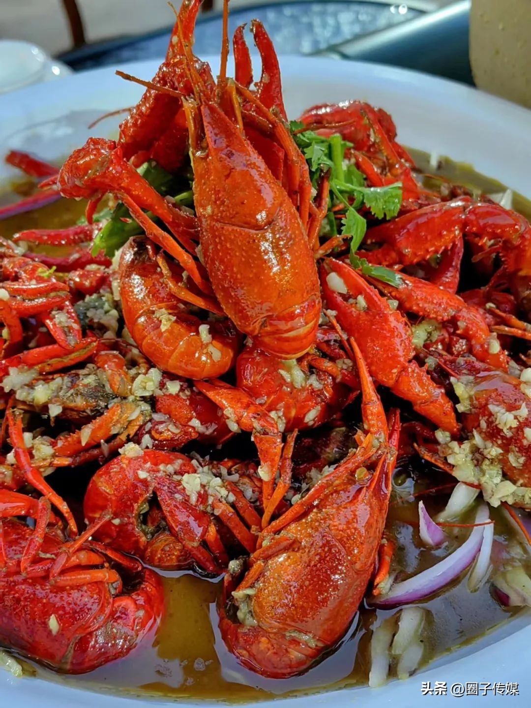 探幽鲜踪，隐匿在南郊宾馆的一处秘境，【中土啤酒花园】