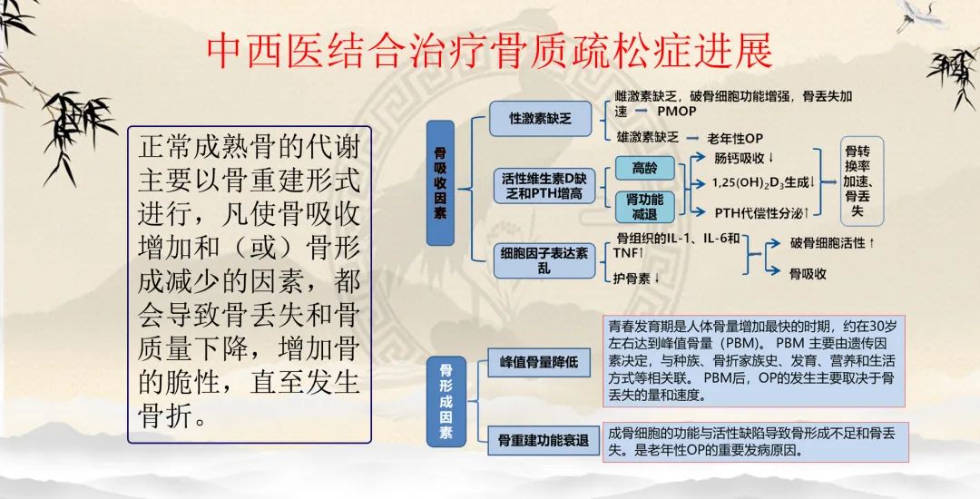 骨质疏松症的讲座总结,骨质疏松中医辨证施治