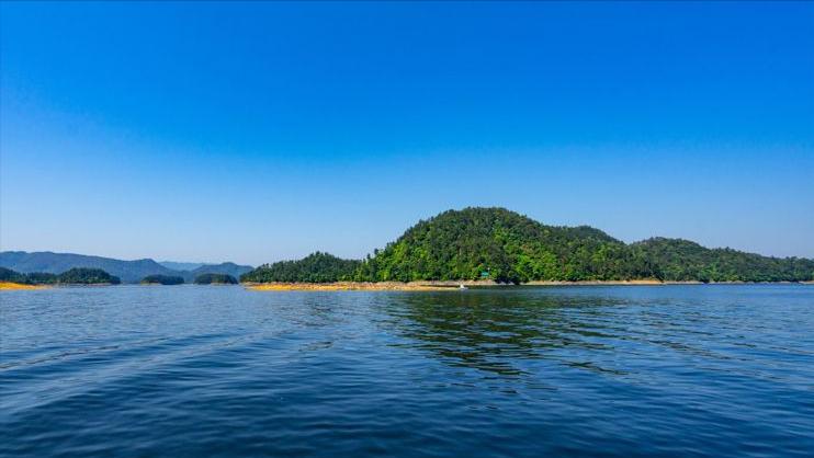 丁丽茹：广告老总跨行养鱼，大圆桶中收获千万财富，是如何做到的