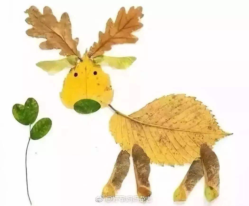 用落叶做一幅秋天的画,用水粉落叶做一幅秋天的画