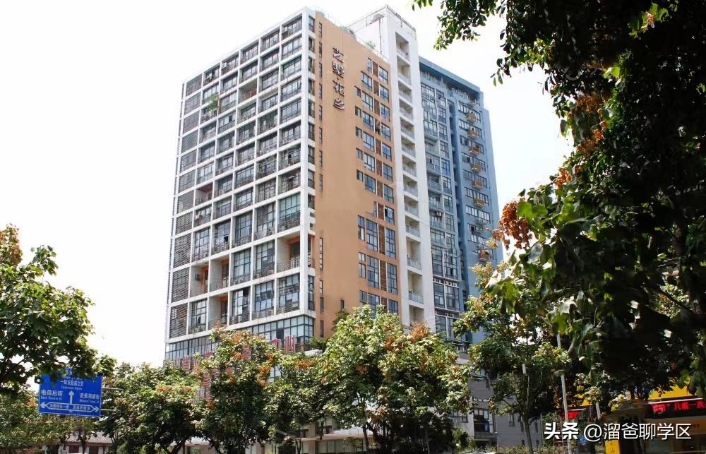 成都小学排名前十的小学,成都十大小学排名