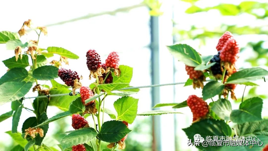 为高质量发展高质量跨越贡献力量,为高质量发展开好局