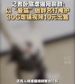 游戏优越狗 (游戏中的优越狗)