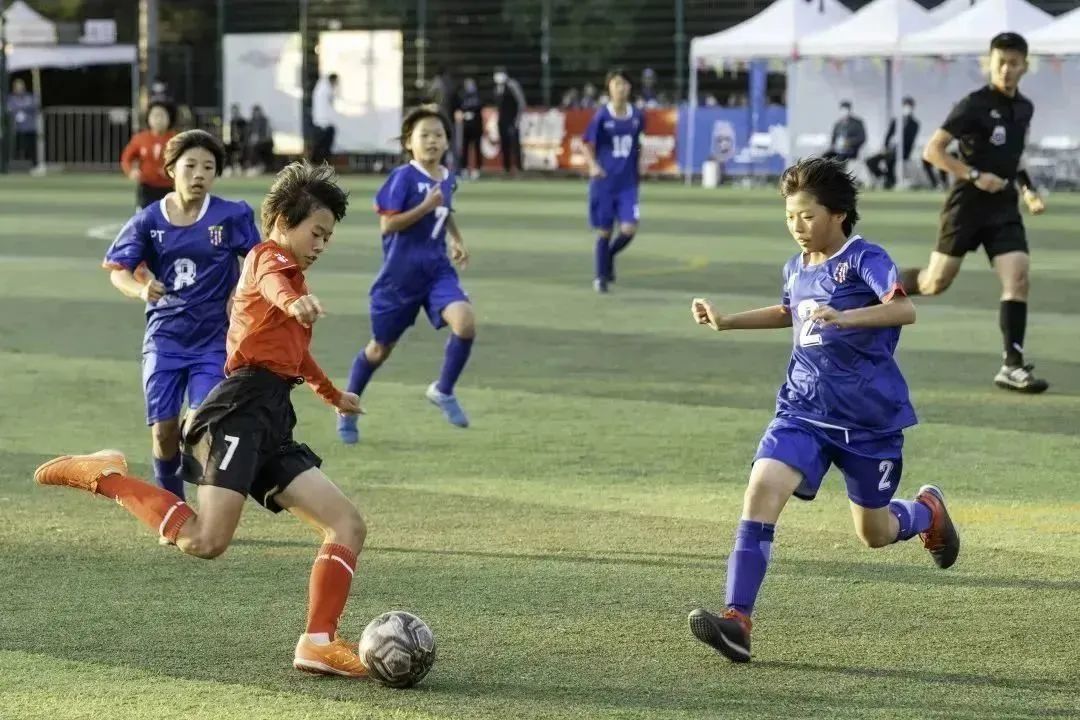 青春飞扬现场表演,市运会赛场上的精彩瞬间