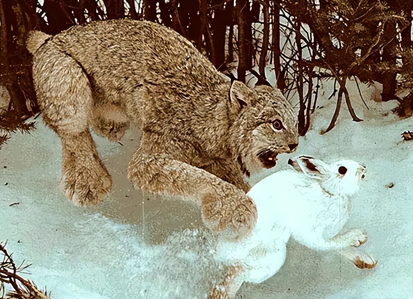 涓栫晫鍗佸ぇ瓒呮ā韬潗鍥剧墖鍥炬枃,涓栫晫鍗佸ぇ瓒呮ā鎯婅壋鍐欑湡