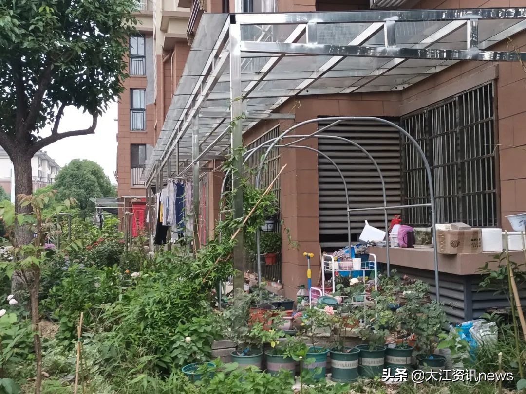 大江资讯芜湖,大江新闻采访