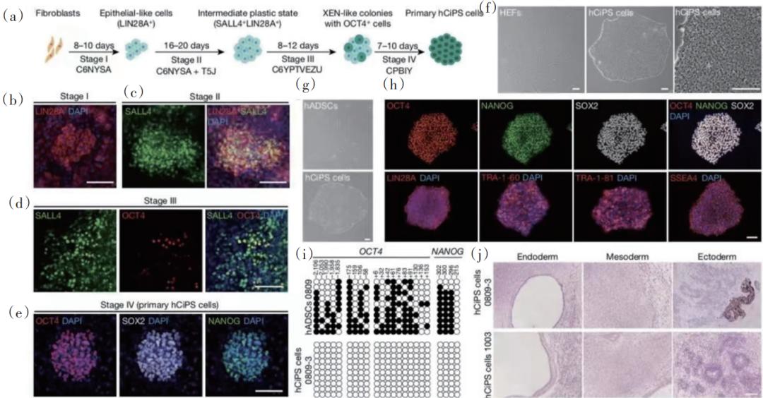 2022年中国重大科学、技术和工程进展|科技导报
