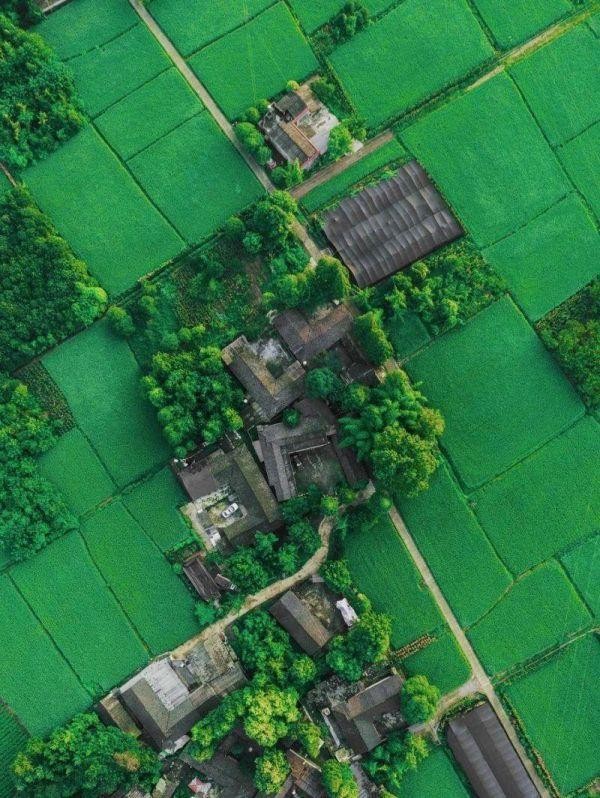 中科院微生物研究所白逢彦,中科院微生物研究所食用菌种