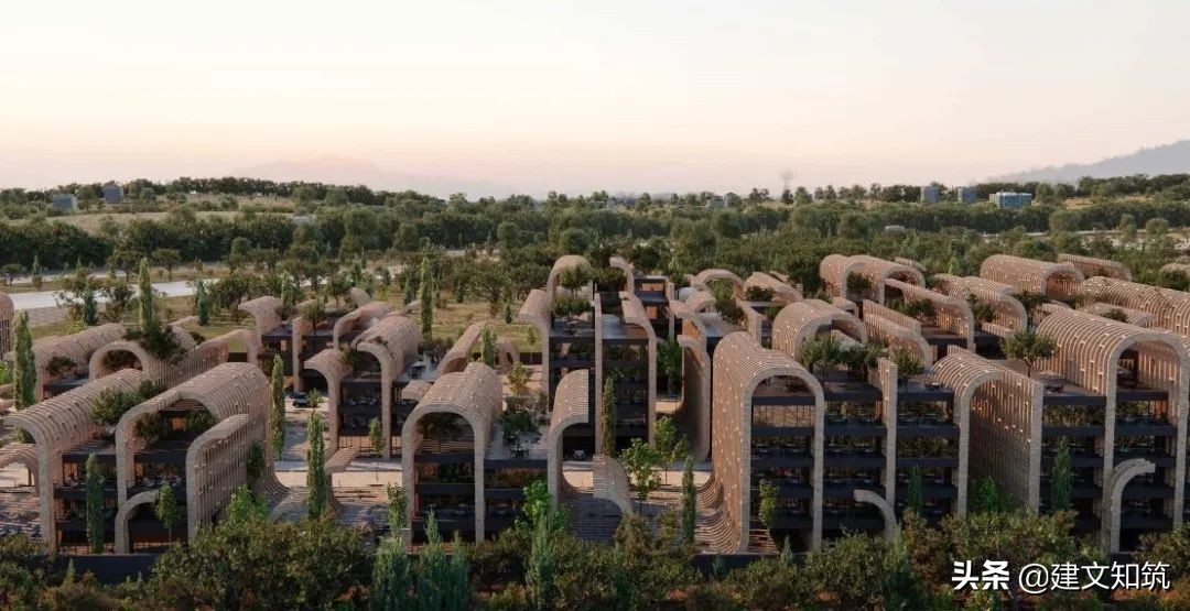 waf2023世锦赛,waf国内排名