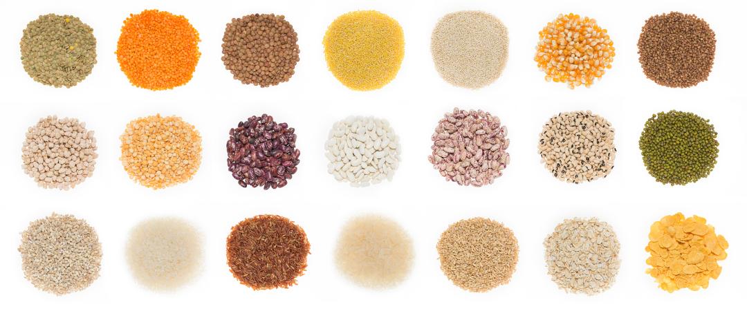 【专家共识】《血脂异常医学营养管理专家共识》发布