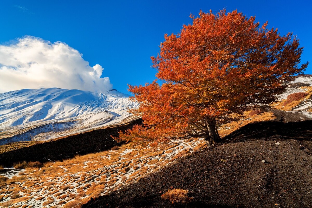 母亲怀二胎四个月被迫打胎,妈妈怀双胞胎宝宝在肚子里打架