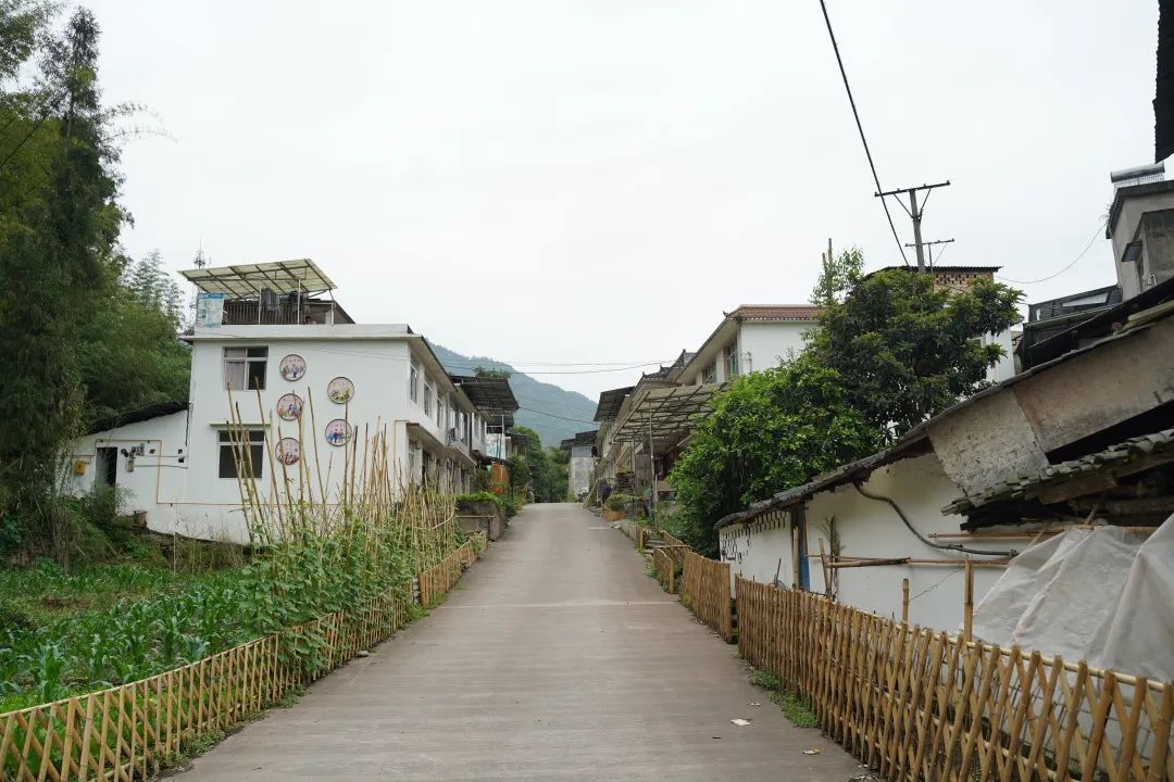 记乡村振兴致富带头人,致富带头人乡村振兴