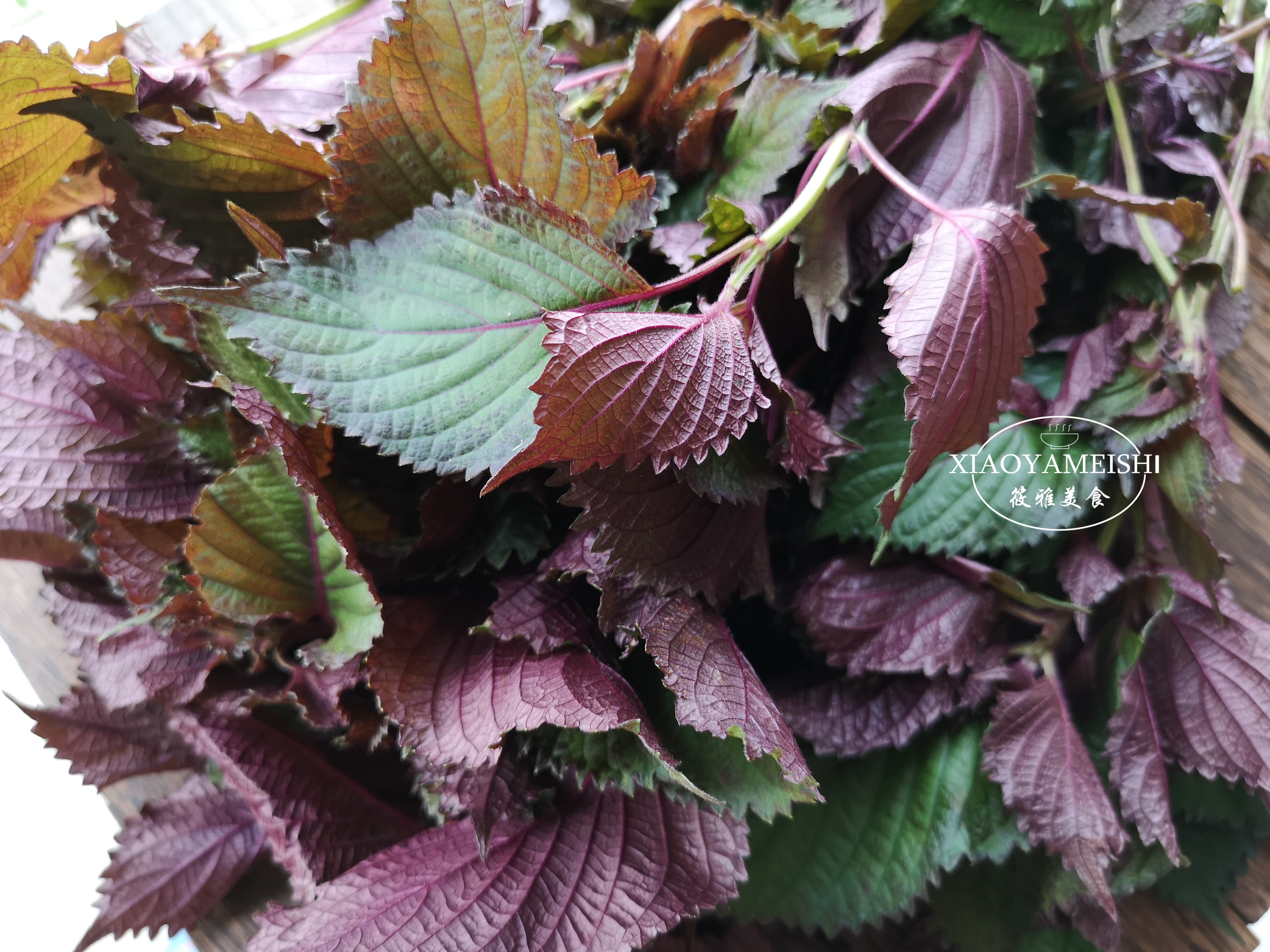 一个酒店大厨的肺腑之言,问大厨怎么煮水煮鱼无腥味好吃呢