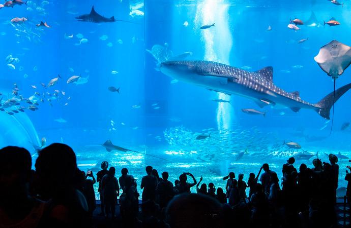 冲绳值得去一次的地方,冲绳好玩