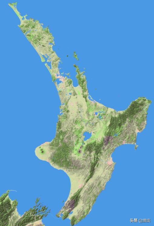 猕猴桃新西兰奇异果,奇异果新西兰猕猴桃