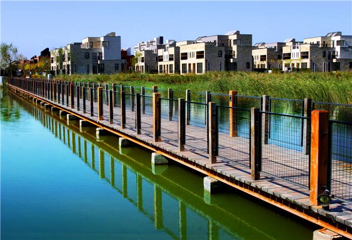 天津女首富白手起家,天津有名的女企业家