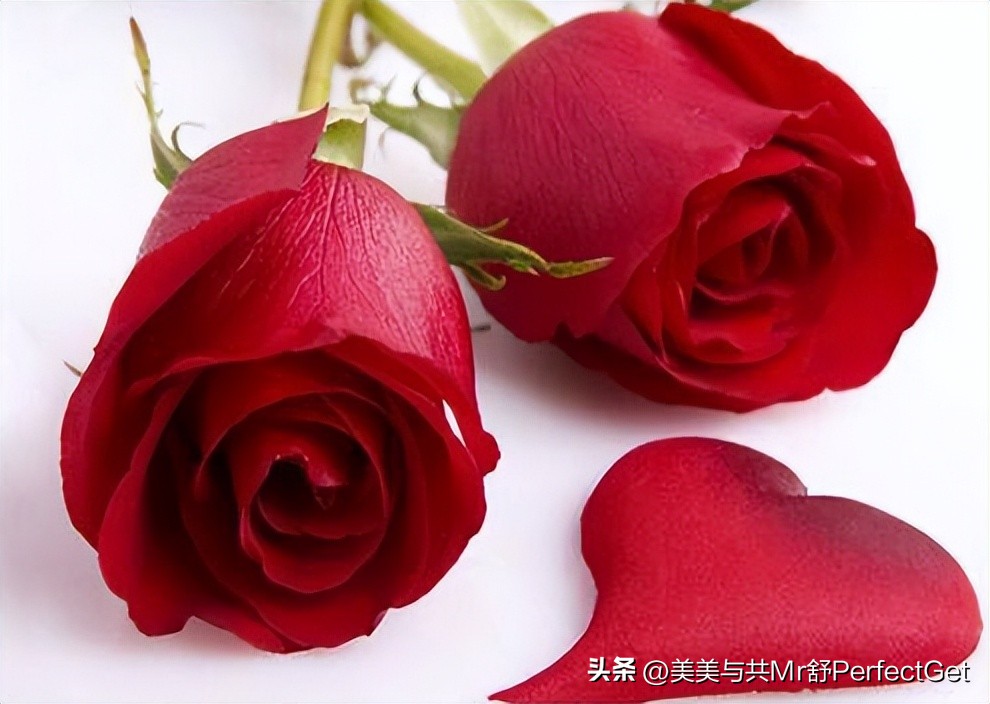 请教：抖音火山版与抖音短视频有什么区别？