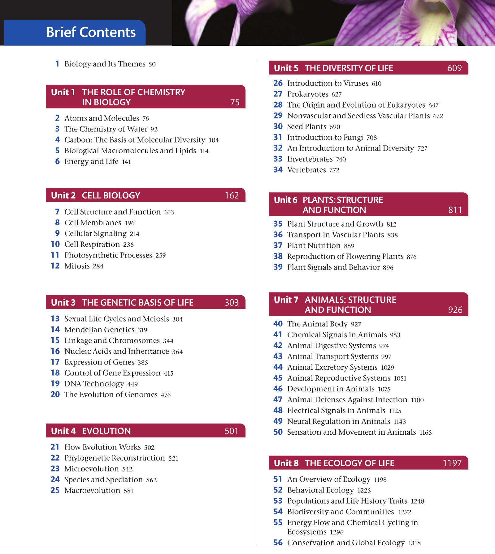 小学基础英语词汇大全人教版,小学英语1600词汇详解