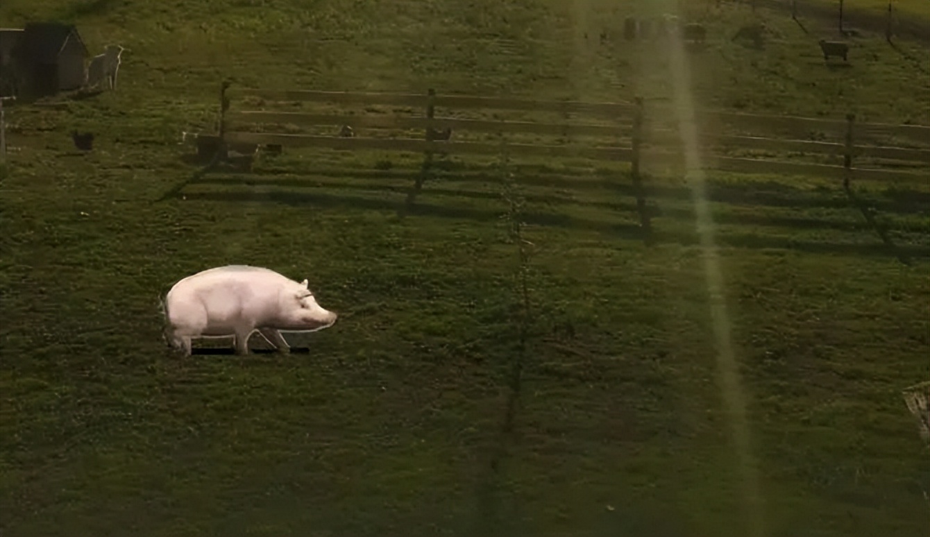 “农场”多火，争议就多大！但微信“QQ化”，是腾讯必须走的路