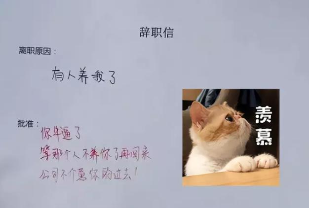程序员写的辞职信,一封程序员的奇葩辞职信