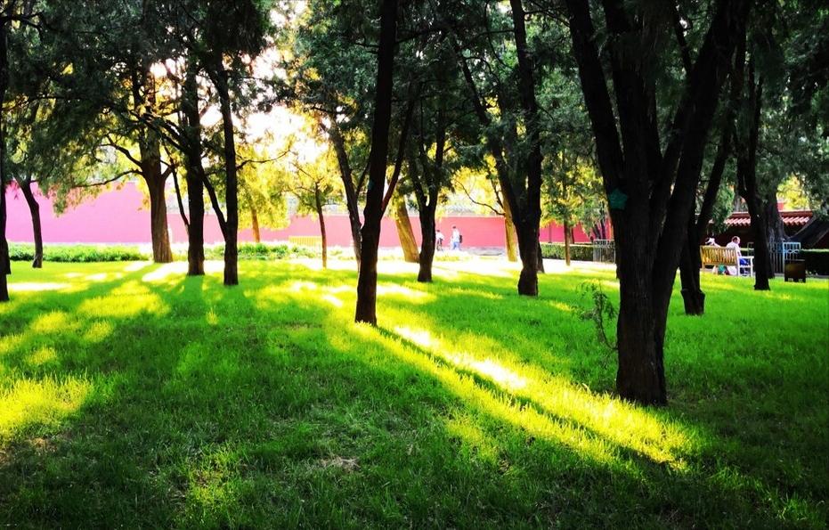 鉴赏史铁生的散文,鉴赏史铁生散文集