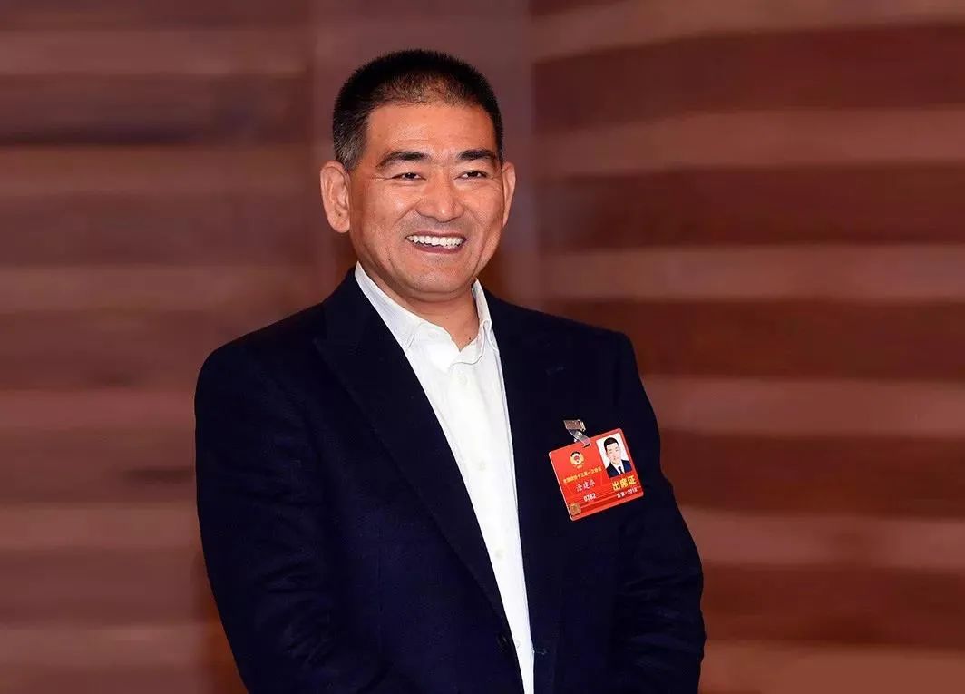 中国500强企业亏损前十名,中国民营企业500强榜单隆鑫