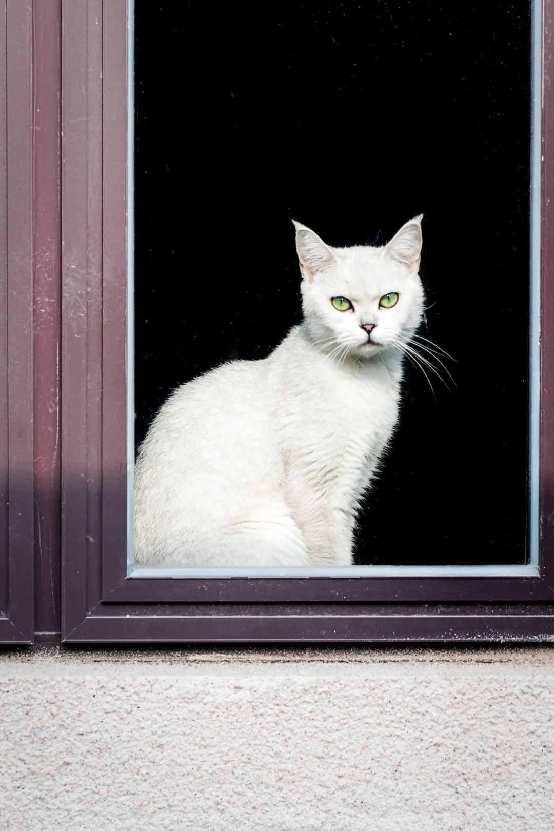 一条街里的卧虎藏龙,东关街里的小巷子别有一番风味