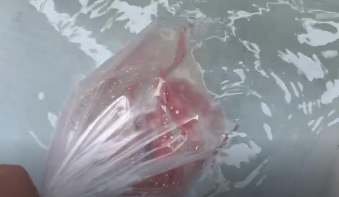 金龙鱼锦鲤的饲养方法视频,新手养鱼怎么把锦鲤鱼养好