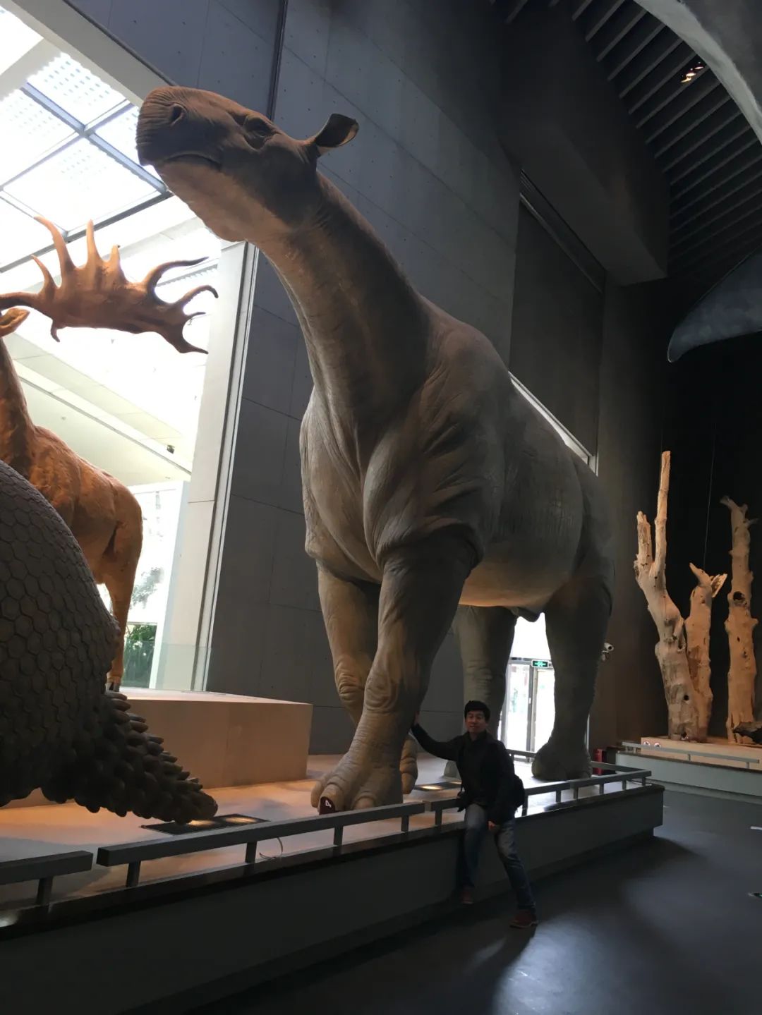 为什么恐龙体型那么大,恐龙的体型为什么那么庞大