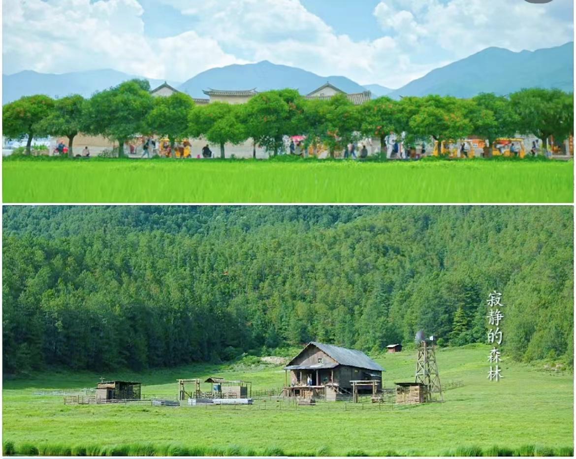 最好的十部高分国产剧,狂飙里面孟钰整容了吗