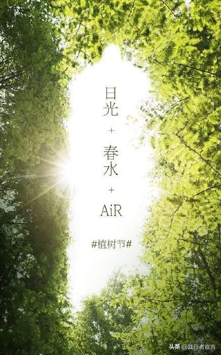 植树节活动策划销售,植树节如何与品牌结合