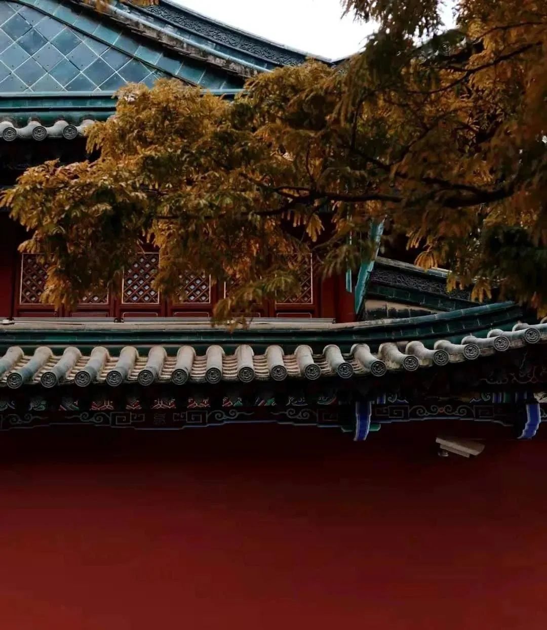 昆明小众打卡点,昆明小众适合孩子玩的地方