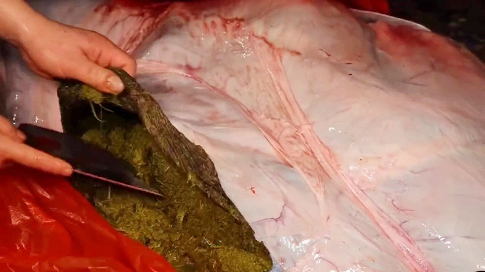 贵州黔东南牛瘪是什么,黔东南牛瘪介绍