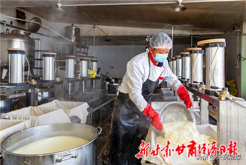 甘肃经济日报新闻,甘肃经济日报