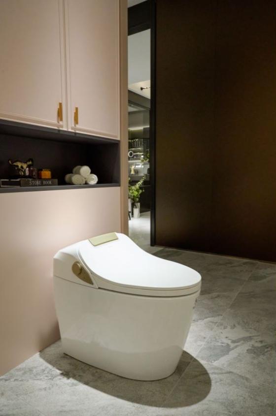 智能马桶下单前问哪些问题,智能马桶能从网上买