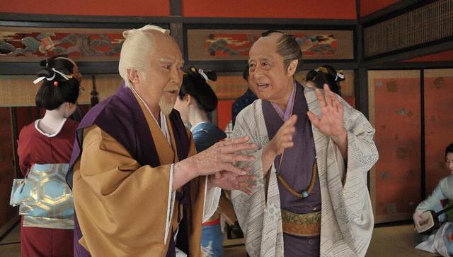 日本的幕府政治制度模式,日本幕府统治危机原因