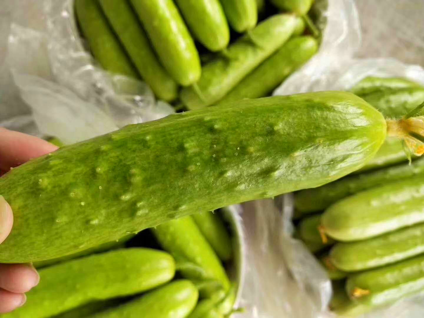 5月，这3种常用激素水果，平时尽量少买！水果摊主：很多人却爱吃