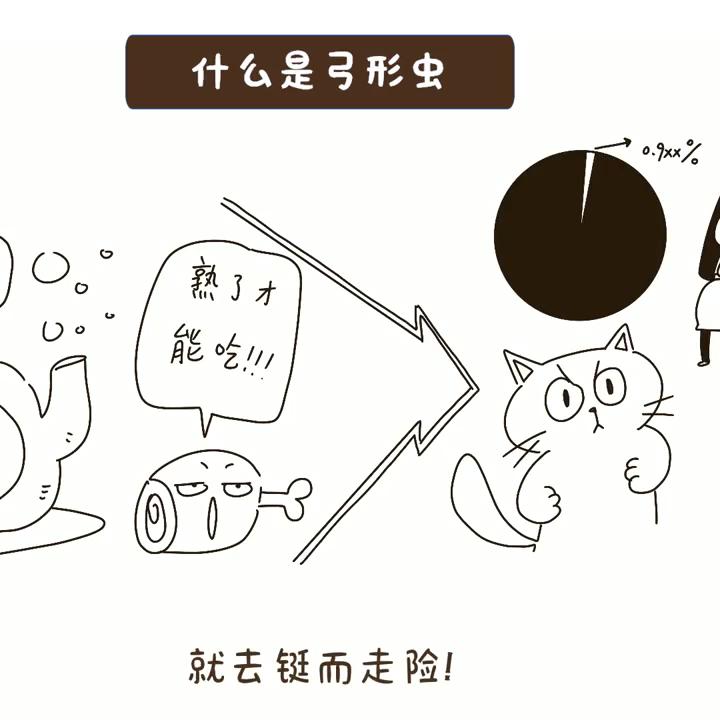 什么是弓形虫病怎么预防,弓形虫是怎么感染猫咪的