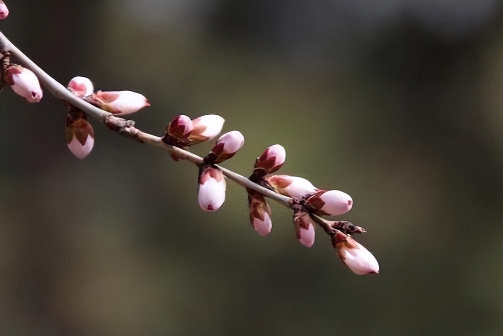 男人不联系你却还背后默默关心你,当一个男人默默关注你但不联系你
