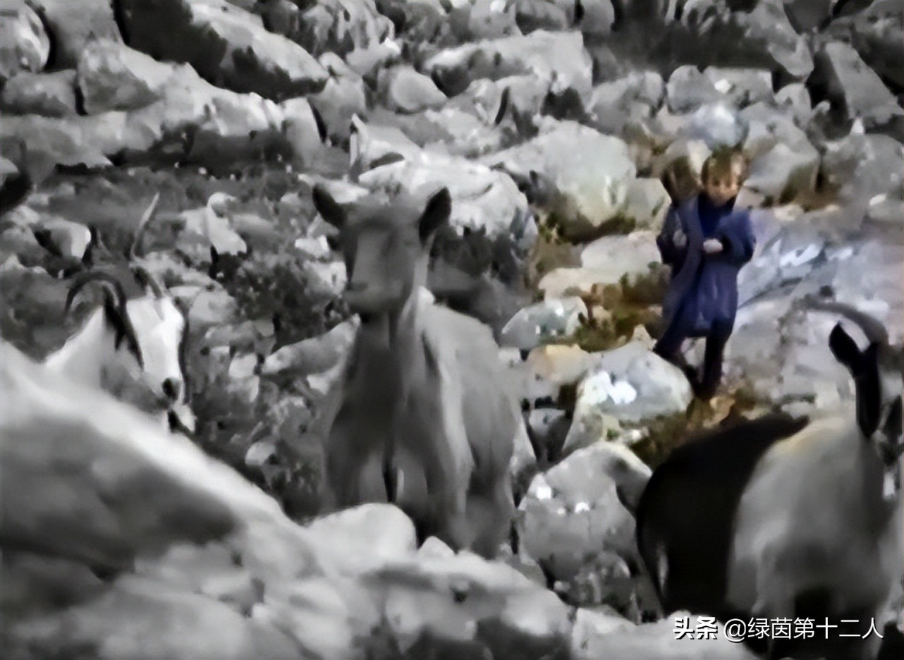 璀璨如歌知乎,璀璨如歌华晨宇