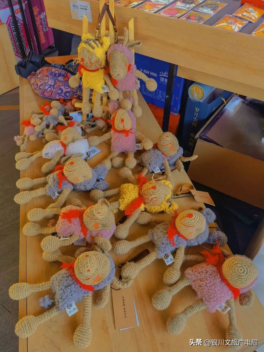 宁夏冰雪特色旅游攻略,银川冬游