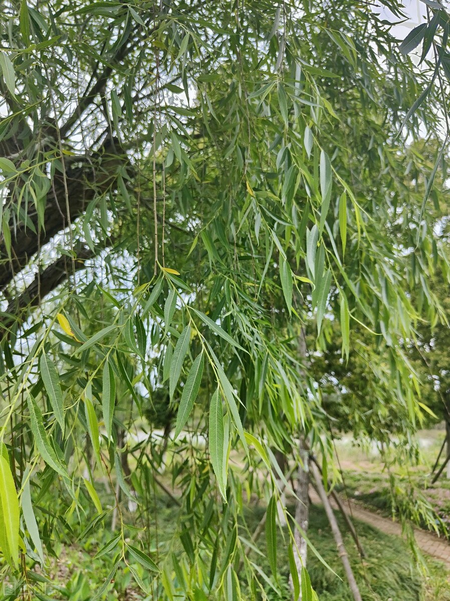 怎么办才能让自己尽快走出困境呢,如何走出逆境不与自己为敌