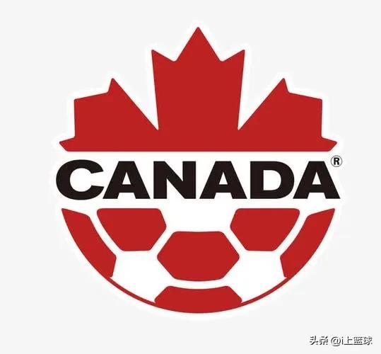 卡塔尔世界杯各队别称,卡塔尔世界杯上的奇葩名字